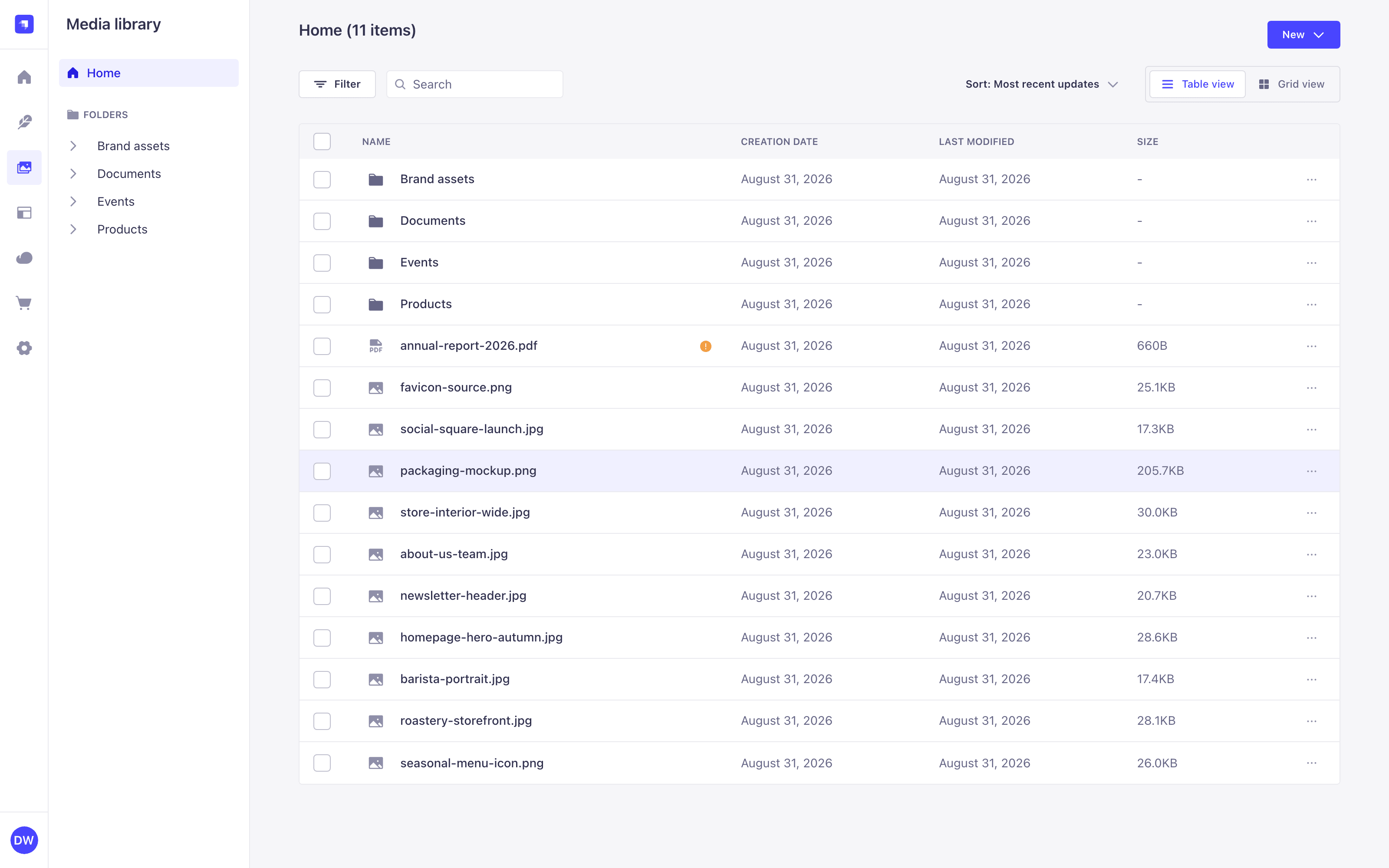 Media Library displaying folders and assets as a table