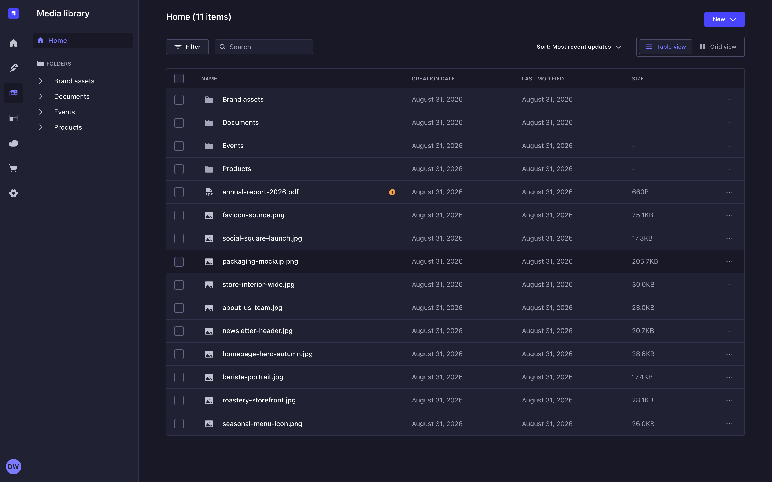 Media Library displaying folders and assets as a table